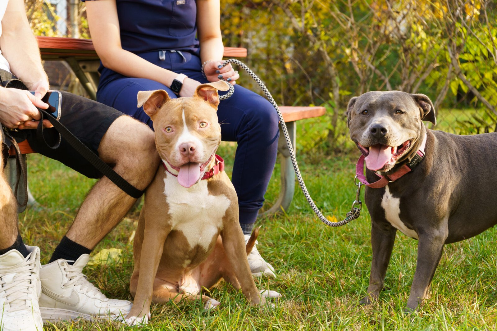 West Woodward Animal Hospital This is a website for a veterenary clinic called West Woodward