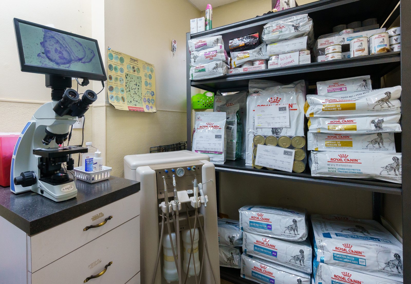 Veterinary medical equipment and supplies at clinic.